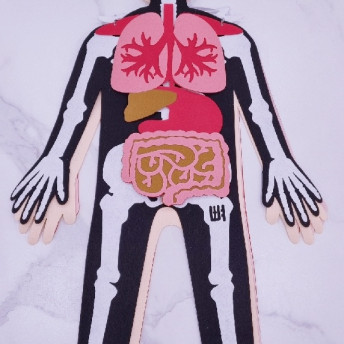 건강한 우리몸 알아보기