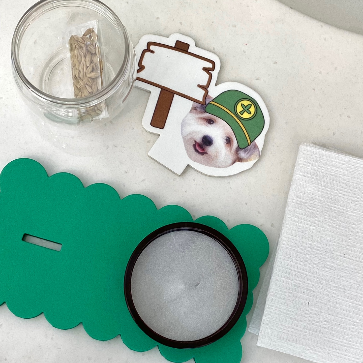 식목일 새마을화분심기(수경식물)