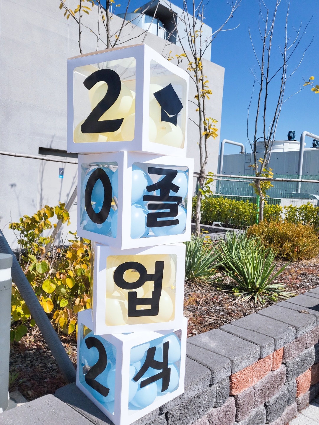 졸업 수료 입학 풍선상자