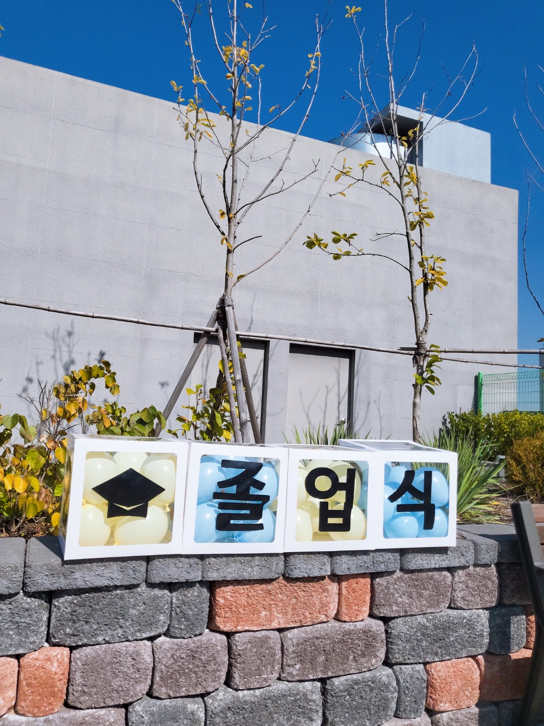 졸업 수료 입학 풍선상자