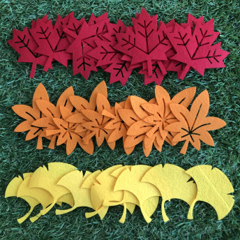 가을 낙엽 3종세트(단풍잎,은행잎 세트)