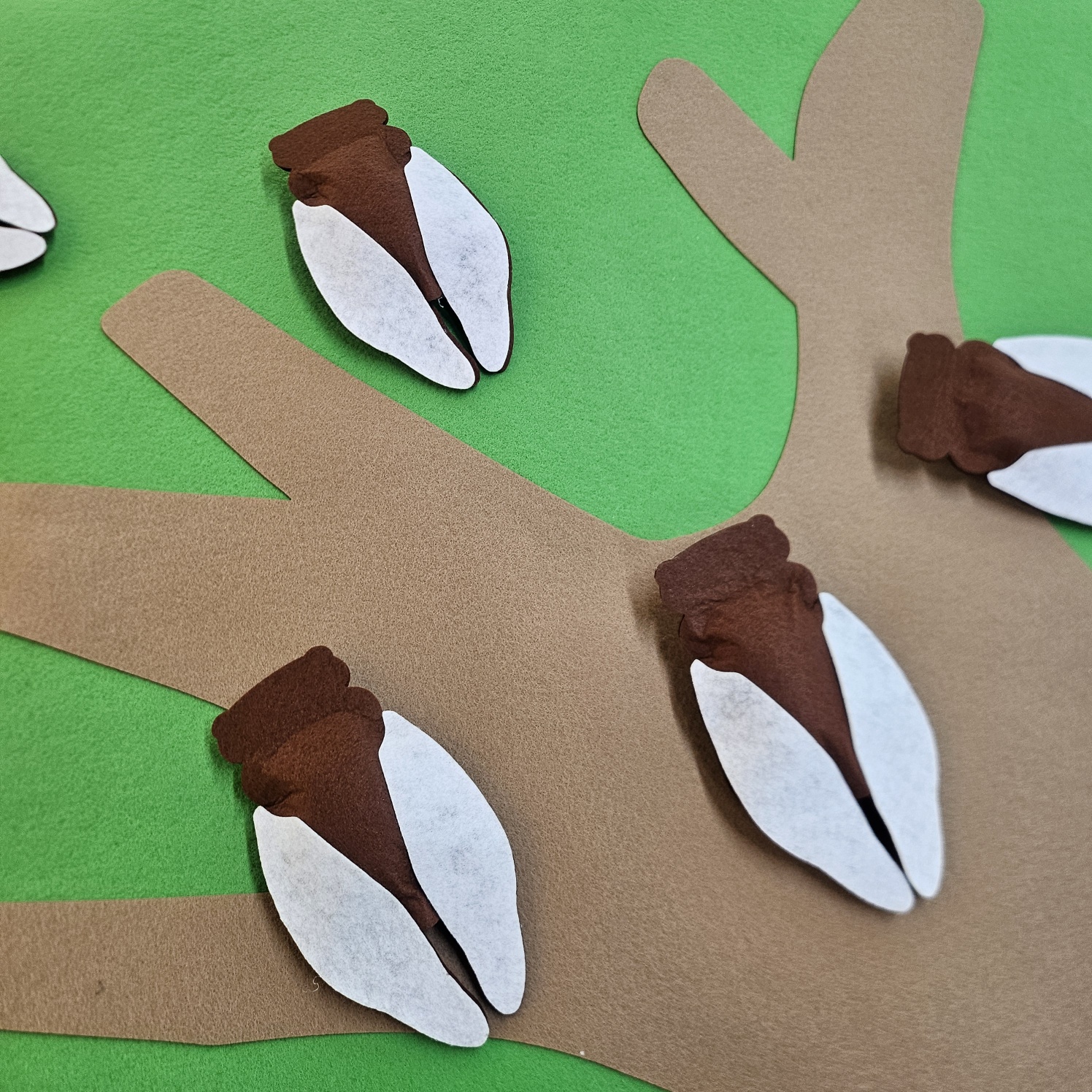 매미를 잡아라(반제)