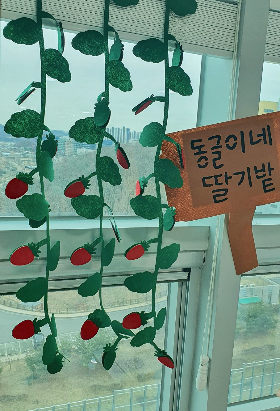 딸기밭 딸기수확