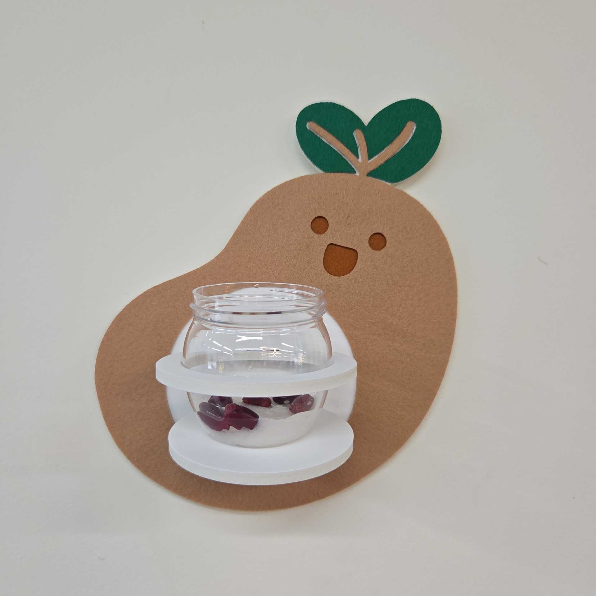 식목일 강낭콩 화분심기(반제)