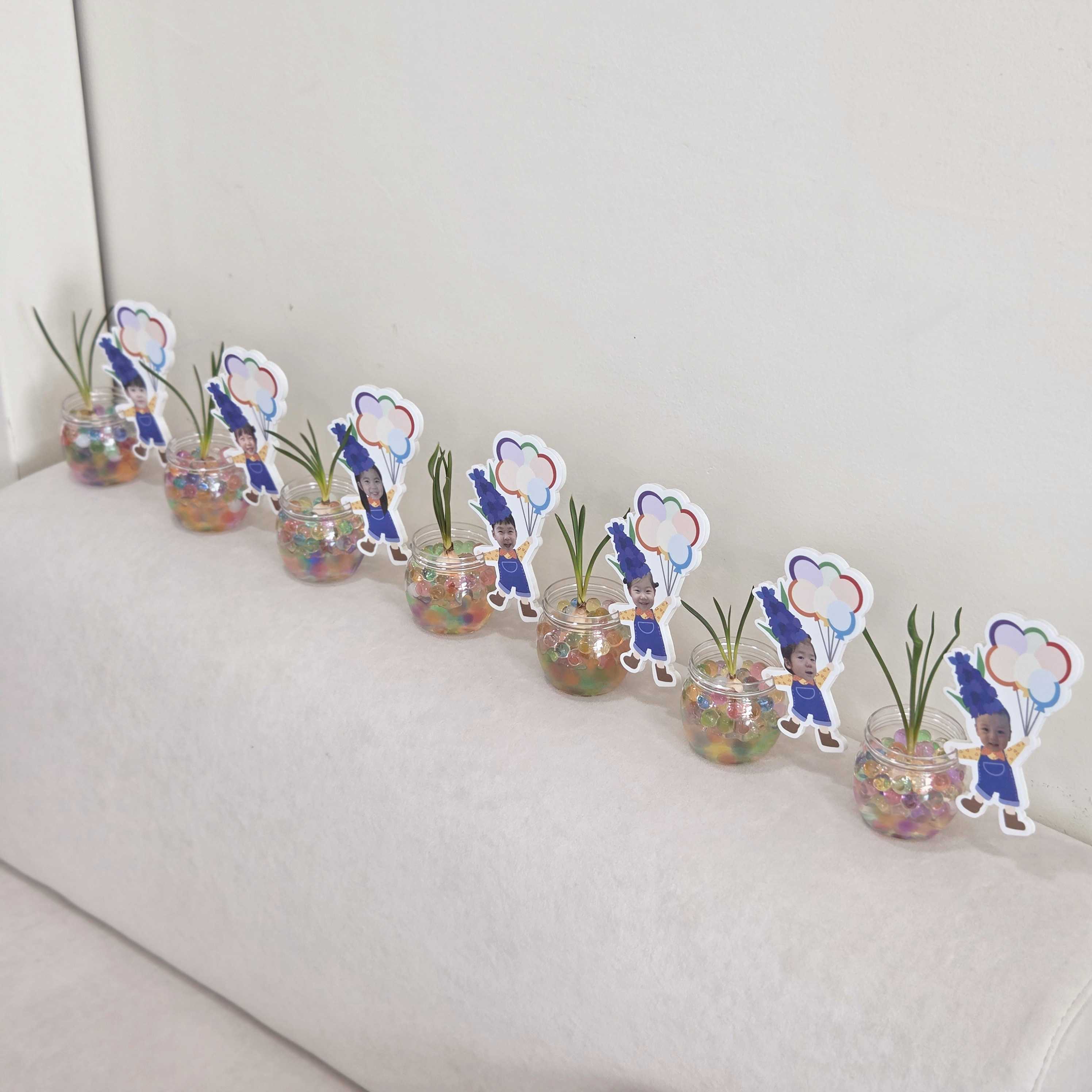 식목일 무스카리 수경재배