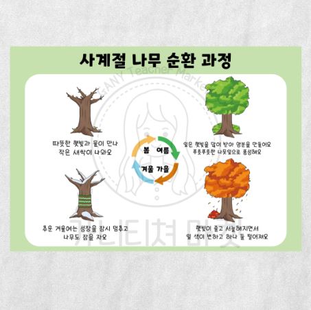 사계절 나무 포스터